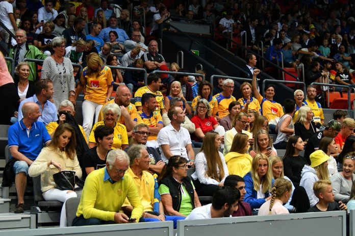 Sverige Supportrar Fans